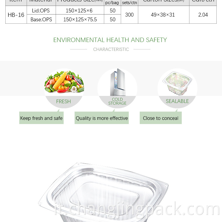 salad containers tray for food packing